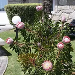 Casa Do Chafariz Viana do Castelo