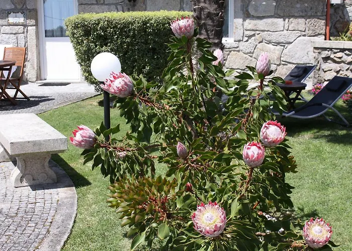 Casa Do Chafariz ויאנה דו קסטלו